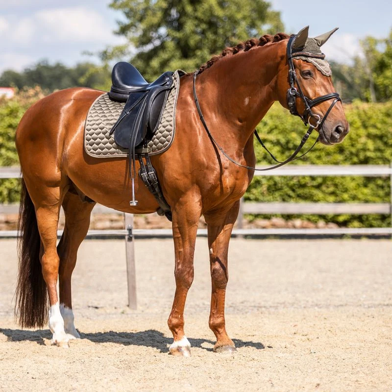 Horze Sandnes Dressage Saddle Pad - Dark Olive 3 Horze Sandnes Dressage Saddle Pad - Dark Olive - Image 3