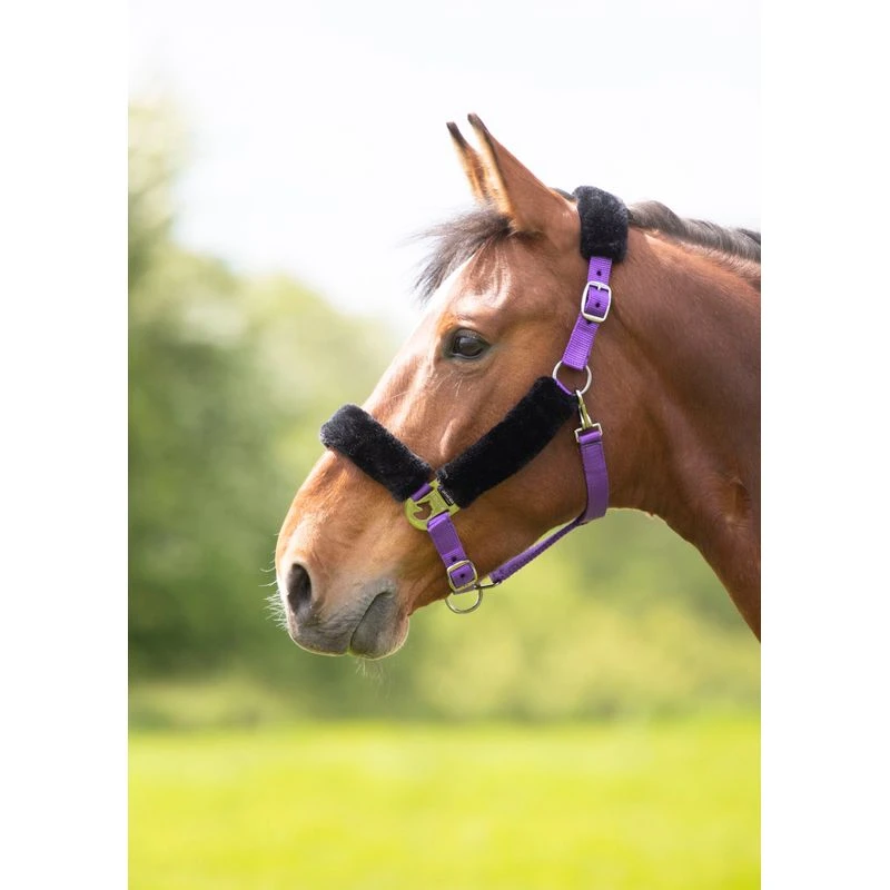Shires Fleece Lined Headcollar W/Breakaway - Purple 1 Shires Fleece Lined Headcollar W/Breakaway - Purple