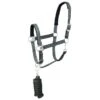 Horze Bari Neoprene Padded Halter & Lead Set - Climbing Ivy Green