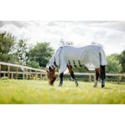 Horseware Flyboots - Silver/Navy -Tackof The Day Shop 607402 800 800