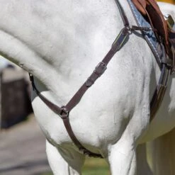 Equinavia Valkyrie Elastic Breastplate - Chocolate Brown -Tackof The Day Shop 608056 800 800