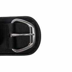 Back On Track Gentle Touch Western Staight Cinch - Black 9 Back On Track Gentle Touch Western Staight Cinch - Black -Tackof The Day Shop 621412 800 800