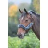 Shires Fleece Lined Headcollar W/Breakaway - Black