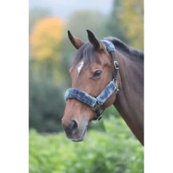 Shires Fleece Lined Headcollar W/Breakaway - Black