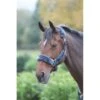 Shires Fleece Lined Headcollar W/Breakaway - Navy
