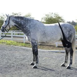 Ice Horse Stifle Wrap - Black -Tackof The Day Shop 632119 800 800