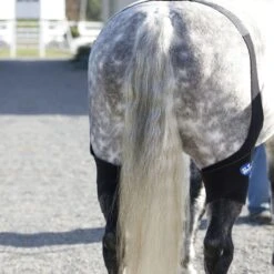 Ice Horse Stifle Wrap - Black -Tackof The Day Shop 632120 800 800