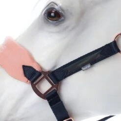 Horze Trixi Pony Soft Fleece Halter - Dark Navy 8 Horze Trixi Pony Soft Fleece Halter - Dark Navy -Tackof The Day Shop 649675 800 800