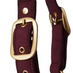 Horze Kenya Anatomical Halter - Rhubarb Dark Red 7 Horze Kenya Anatomical Halter - Rhubarb Dark Red -Tackof The Day Shop 660121 800 800