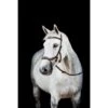 Rambo Micklem 2 Multi Bridle - Dark Havana