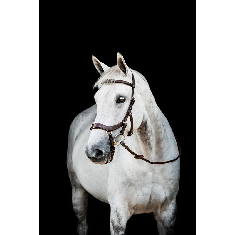 Rambo Micklem 2 Multi Bridle - Dark Havana 1 Rambo Micklem 2 Multi Bridle - Dark Havana