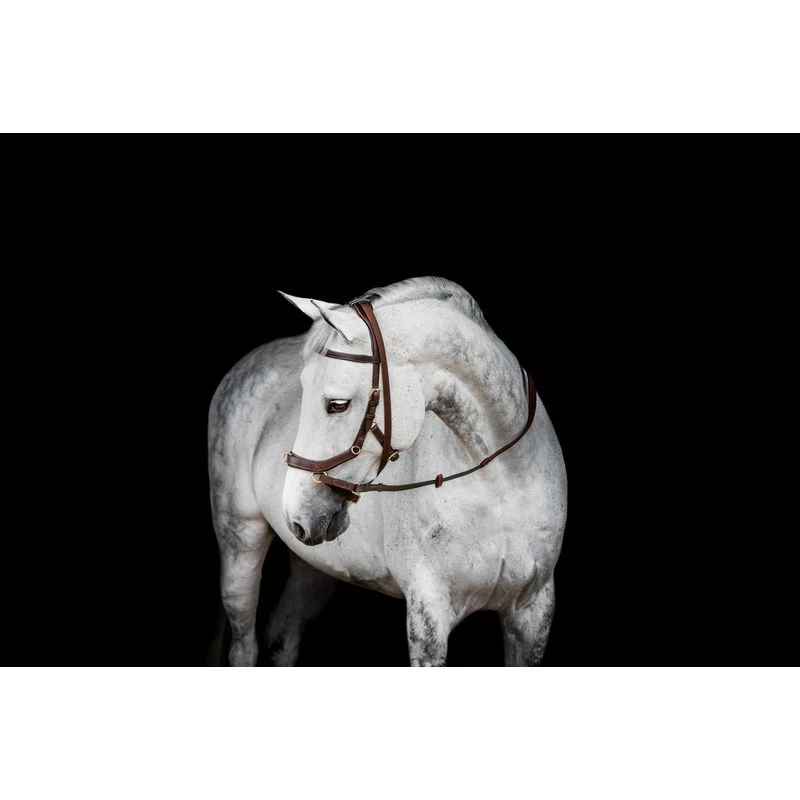 Rambo Micklem 2 Multi Bridle - Dark Havana 2 Rambo Micklem 2 Multi Bridle - Dark Havana - Image 2