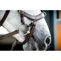 Rambo Micklem 2 Multi Bridle - Dark Havana 8 Rambo Micklem 2 Multi Bridle - Dark Havana -Tackof The Day Shop 665984 800 800