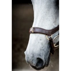 Rambo Micklem 2 Multi Bridle - Dark Havana 10 Rambo Micklem 2 Multi Bridle - Dark Havana -Tackof The Day Shop 665986 800 800