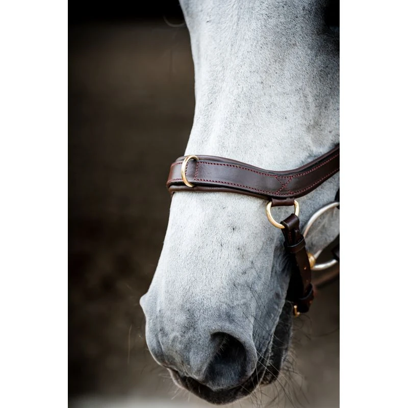 Rambo Micklem 2 Multi Bridle - Dark Havana 5 Rambo Micklem 2 Multi Bridle - Dark Havana - Image 5