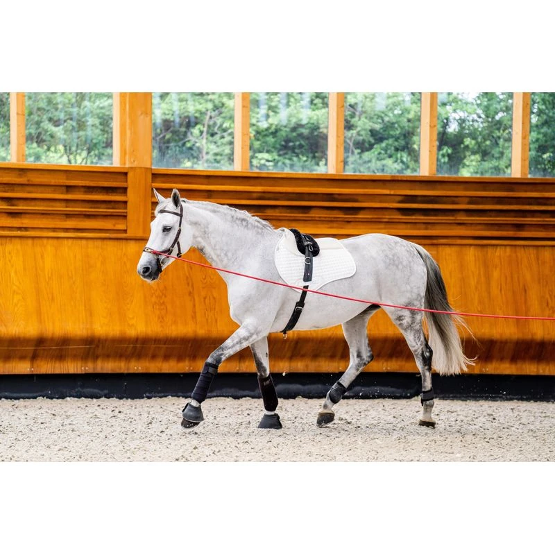 Rambo Micklem 2 Multi Bridle - Dark Havana 6 Rambo Micklem 2 Multi Bridle - Dark Havana - Image 6