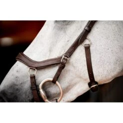 Rambo Micklem 2 Competition Bridle W/Reins - Dark Havana -Tackof The Day Shop 666006 800 800