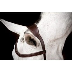 Rambo Micklem 2 Competition Bridle W/Reins - Dark Havana -Tackof The Day Shop 666007 800 800