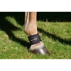 Back On Track Pastern/Fetlock Band - Black 6 Back On Track Pastern/Fetlock Band - Black -Tackof The Day Shop 669286 800 800