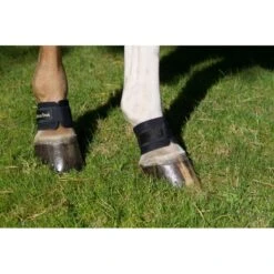 Back On Track Pastern/Fetlock Band - Black 7 Back On Track Pastern/Fetlock Band - Black -Tackof The Day Shop 669287 800 800