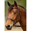Nunn Finer Nunn Finer Event Bridle - Havana/ZInc