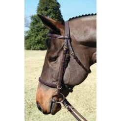 Nunn Finer Nunn Finer Event Bridle - Havana/Brass