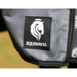 Equinavia Arktis Regular Neck Turnout Sheet - Carbon Gray 5 Equinavia Arktis Regular Neck Turnout Sheet - Carbon Gray -Tackof The Day Shop 677728 800 800