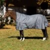 Equinavia Arktis Extended Neck Turnout Sheet - Charcoal Gray