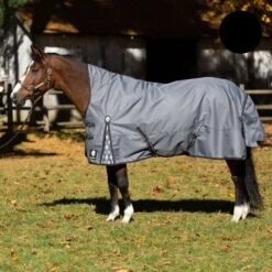 Equinavia Arktis Extended Neck Turnout Sheet - Charcoal Gray