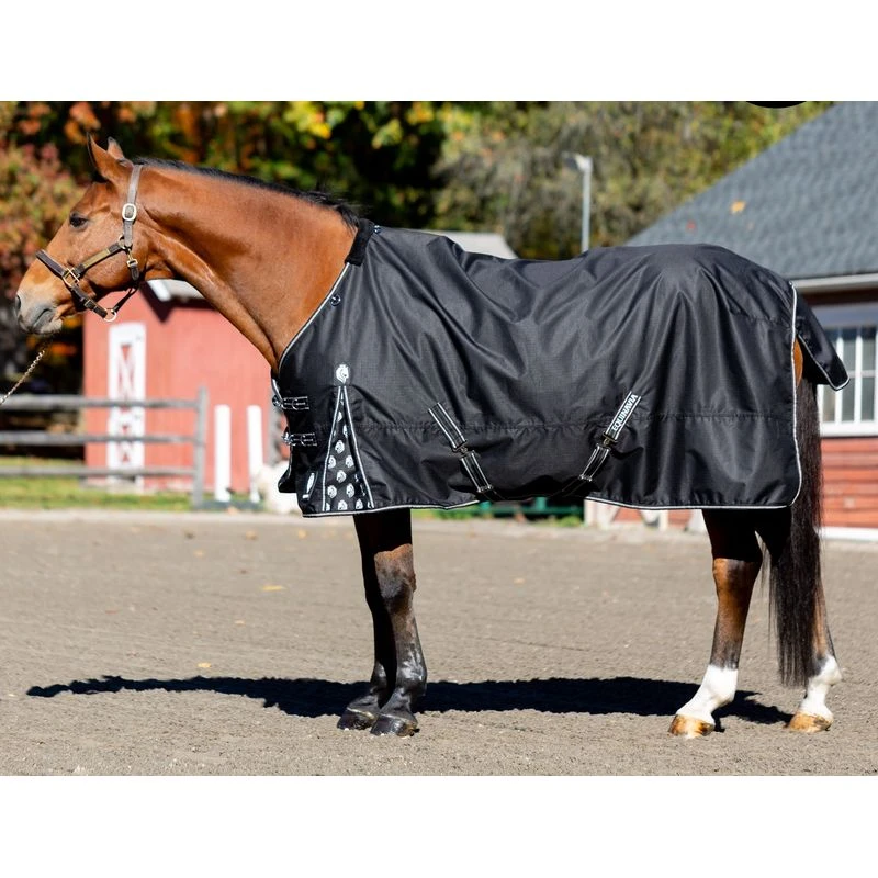 Equinavia Norse Light Weight Turnout Blanket 100g - Black 2 Equinavia Norse Light Weight Turnout Blanket 100g - Black - Image 2