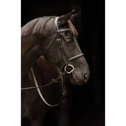 Amigo Deluxe Hunter Snaffle Bridle - Black