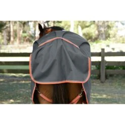 Weatherbeeta Comfitec Essential Plus Standard Neck Medium - Grey/Orange/Blue -Tackof The Day Shop 686012 800 800