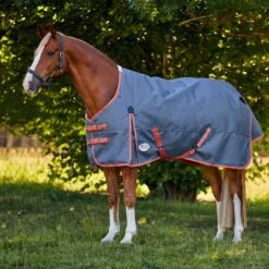 Weatherbeeta Comfitec Essential Plus Standard Neck Medium - Grey/Orange/Blue -Tackof The Day Shop 686013 800 800