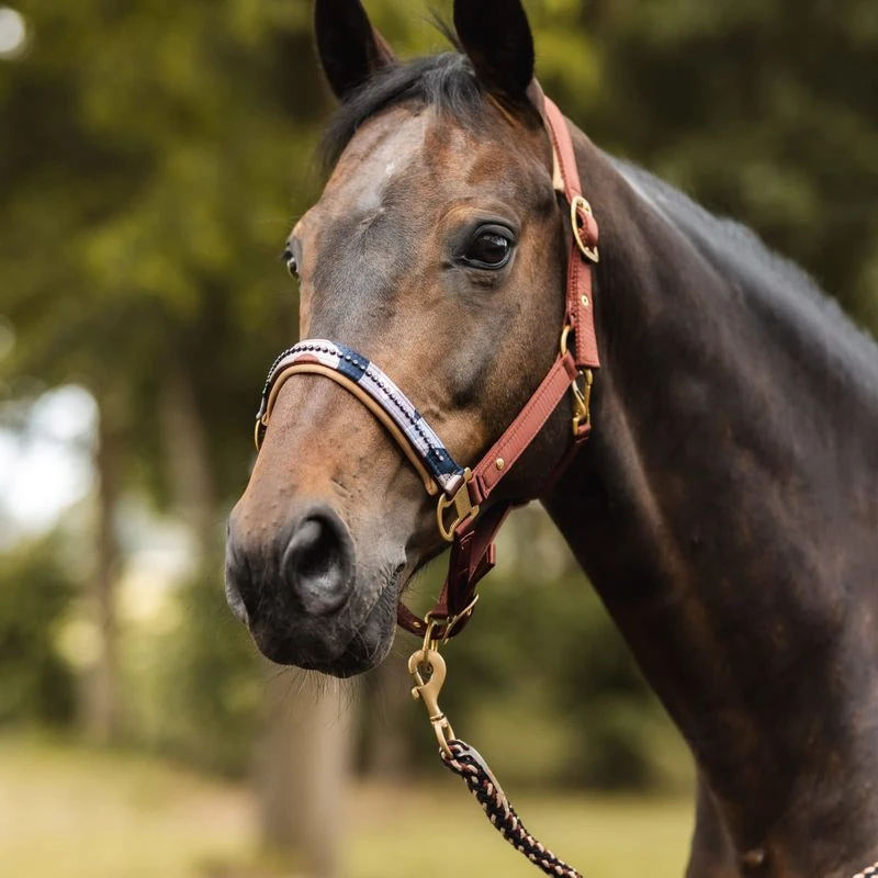 Horze Terrazzo Neoprene Lined Halter With Crystals - Smoked Paprika 2 Horze Terrazzo Neoprene Lined Halter With Crystals - Smoked Paprika - Image 2