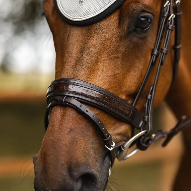 Horze Smoky Twilight Anatomic Bridle W/Curved Browband - Dark Brown 3 Horze Smoky Twilight Anatomic Bridle W/Curved Browband - Dark Brown - Image 3