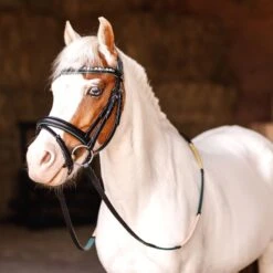 Horze Magical Carousel Pony Bridle W/Crystal Curved Noseband - Green Blue Slate -Tackof The Day Shop 696145 800 800
