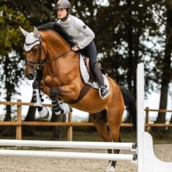 Horze Smoky Twilight Air Mesh Ear Net - Quiet Grey 5 Horze Smoky Twilight Air Mesh Ear Net - Quiet Grey -Tackof The Day Shop 698836 800 800