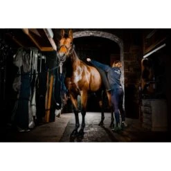 Horseware Autumn Cooler - Black/Aqua/Silver -Tackof The Day Shop 699726 800 800