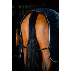 Horseware Autumn Cooler - Black/Aqua/Silver -Tackof The Day Shop 699729 800 800