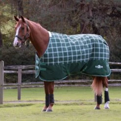 Saxon Defiant 1200D Standard Neck Lite - Hunter Green/Plaid